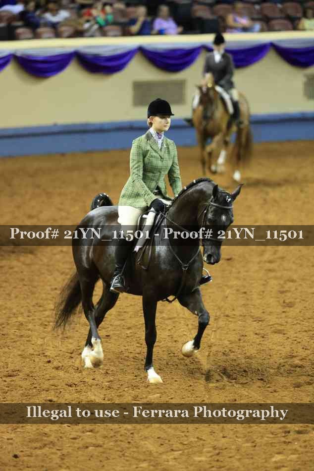 Proof 21YN_11501