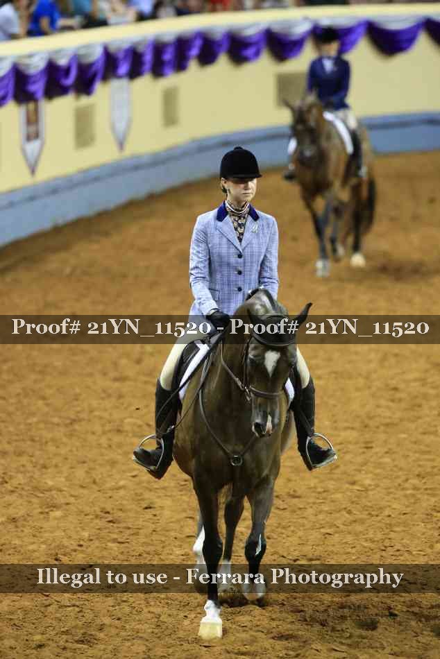 Proof 21YN_11520
