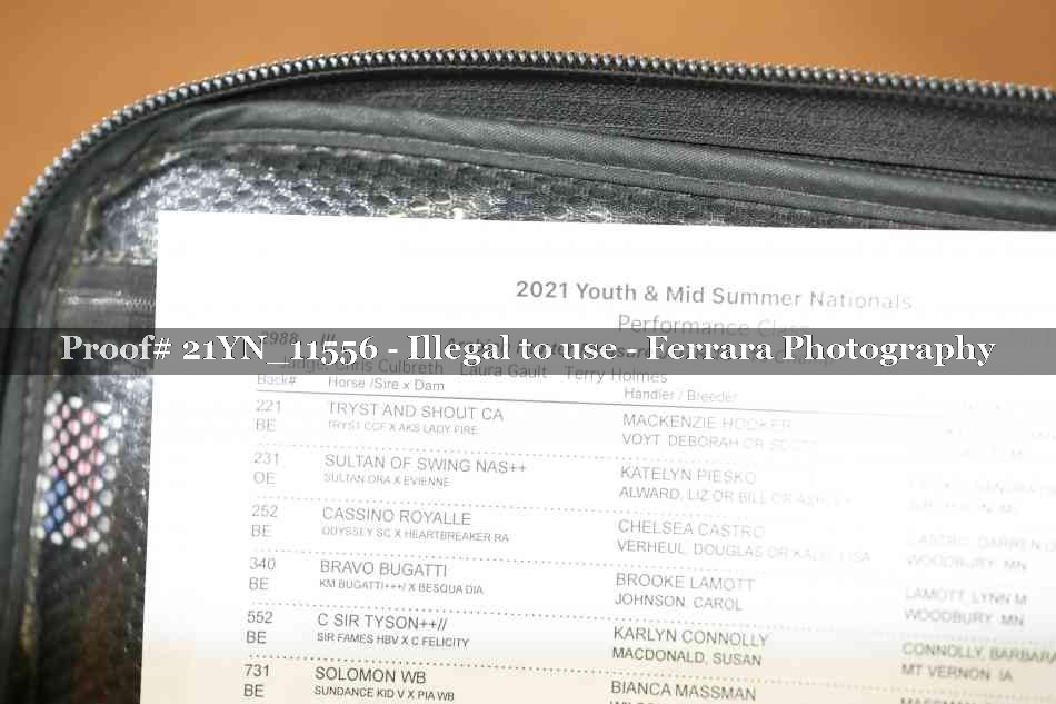 Proof 21YN_11556