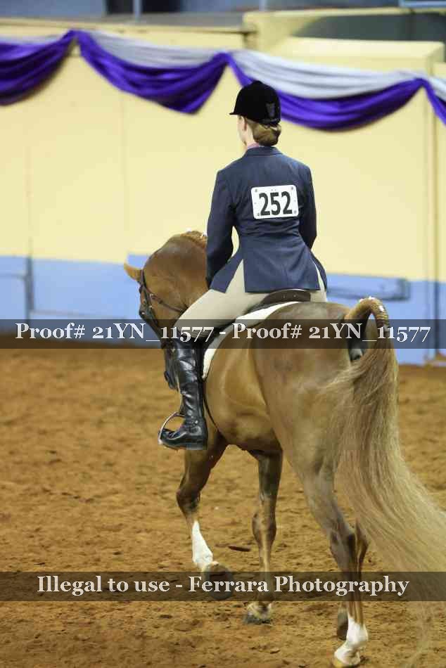Proof 21YN_11577