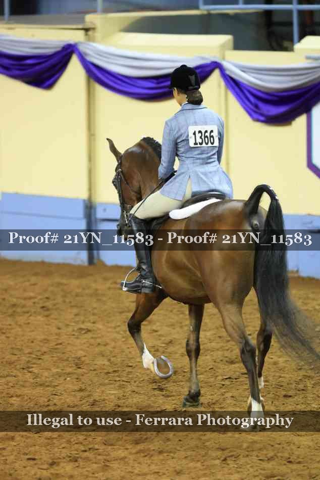 Proof 21YN_11583