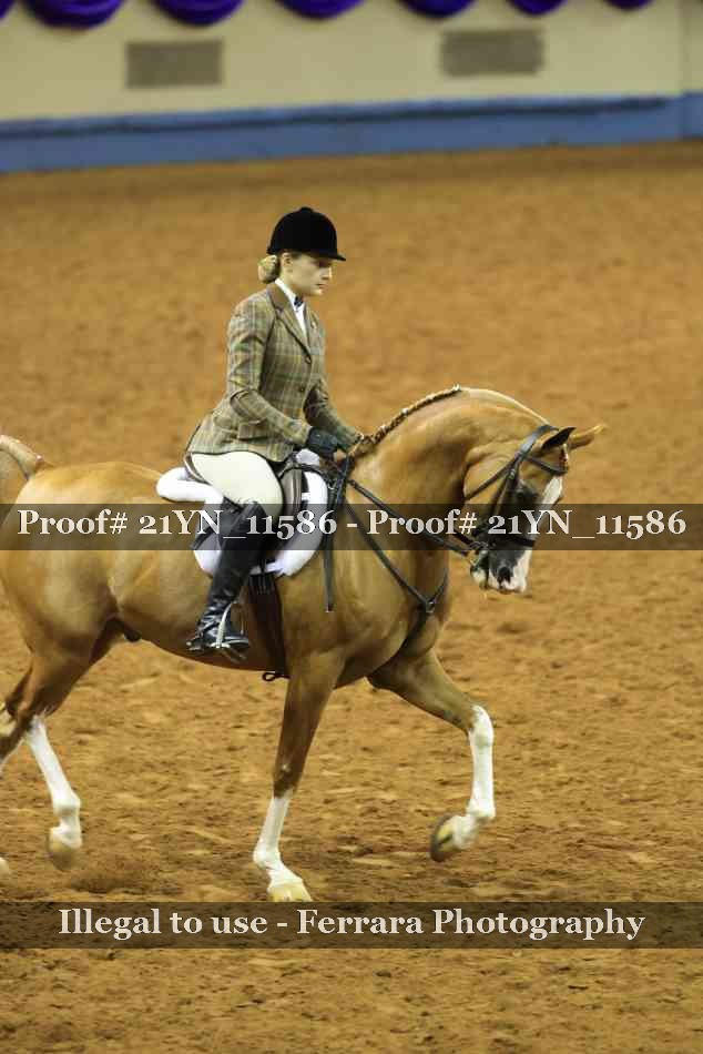 Proof 21YN_11586