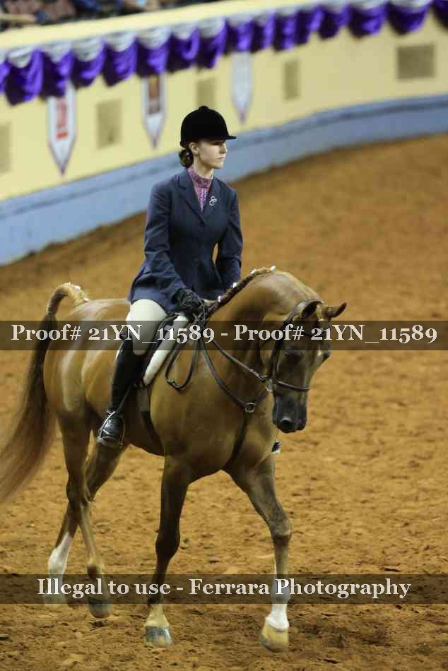 Proof 21YN_11589