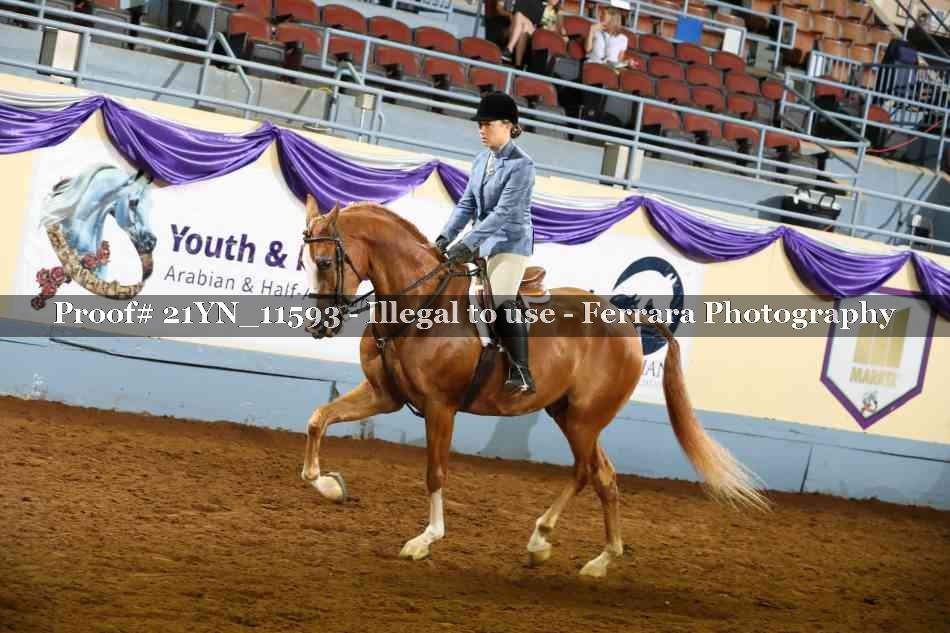 Proof 21YN_11593