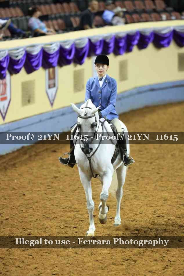 Proof 21YN_11615