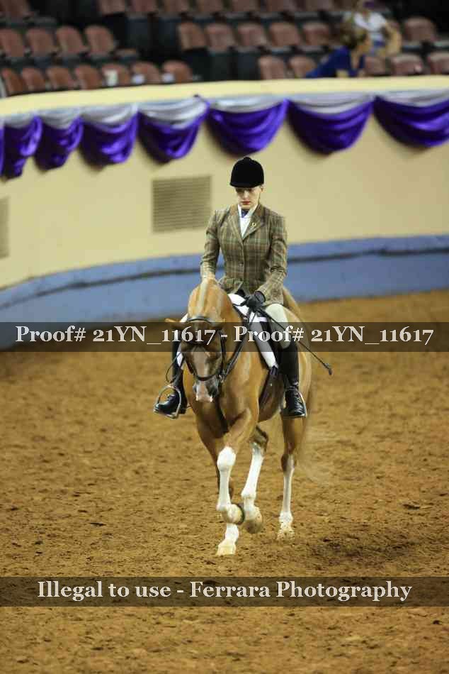 Proof 21YN_11617