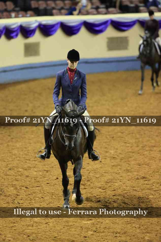 Proof 21YN_11619