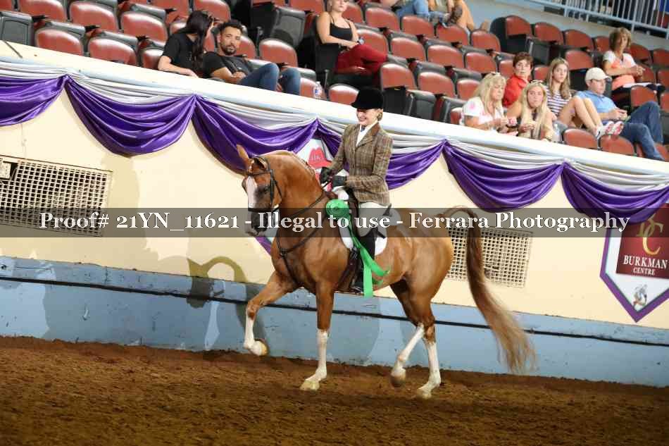 Proof 21YN_11621