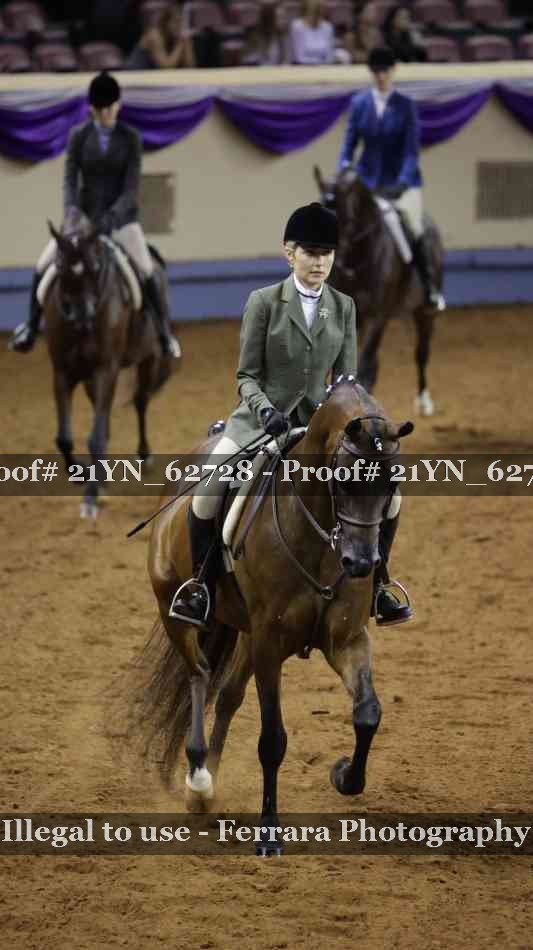 Proof 21YN_62728
