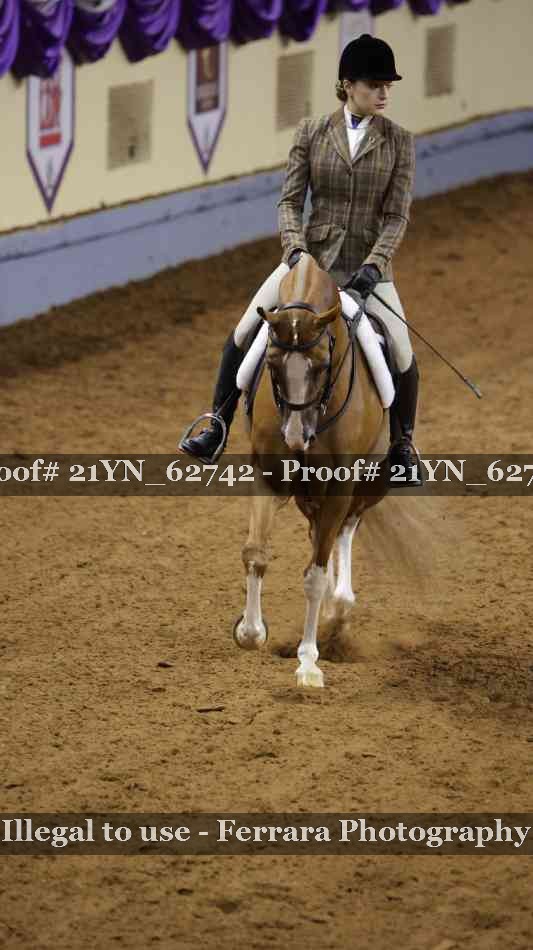 Proof 21YN_62742