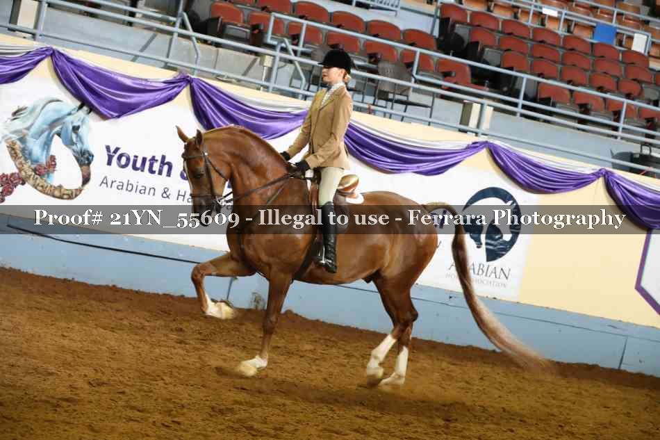 Proof 21YN_55609