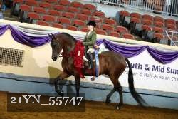 21YN_55747 proof