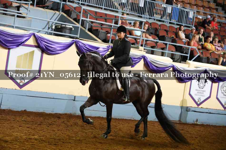 Proof 21YN_05612