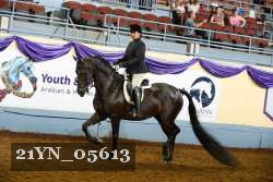 21YN_05613 proof