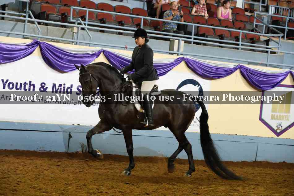 Proof 21YN_05623