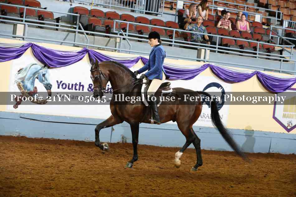 Proof 21YN_05645