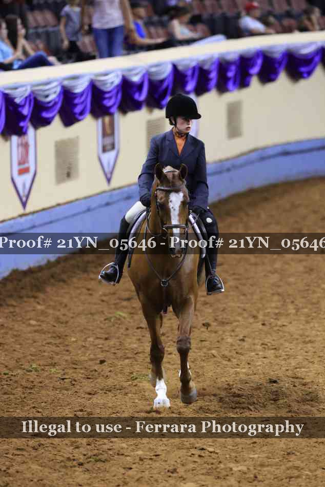 Proof 21YN_05646