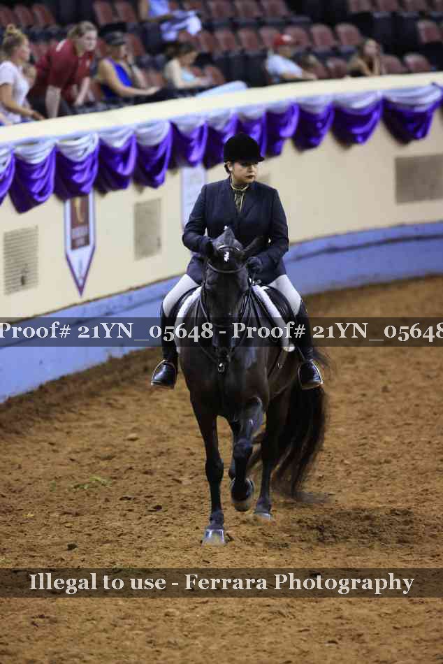 Proof 21YN_05648