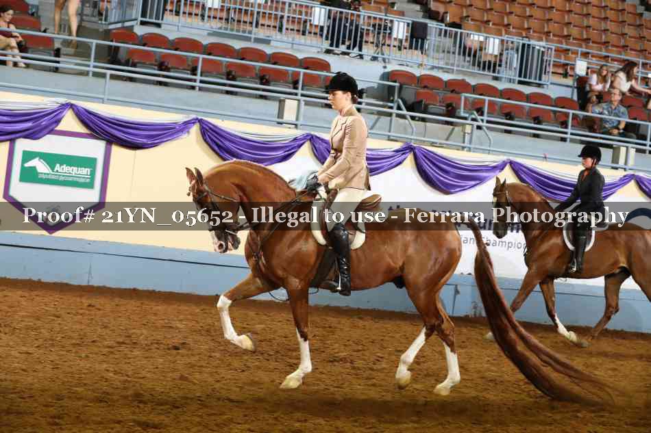 Proof 21YN_05652