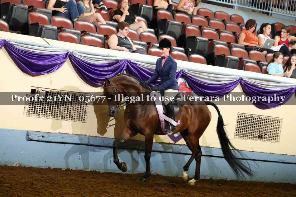 Proof 21YN_05677