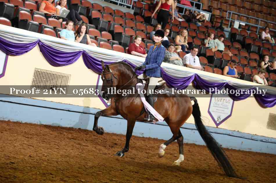 Proof 21YN_05683