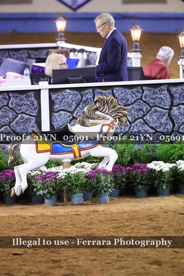 Proof 21YN_05691