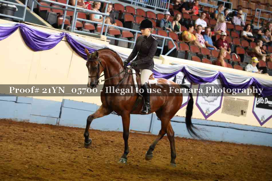 Proof 21YN_05700