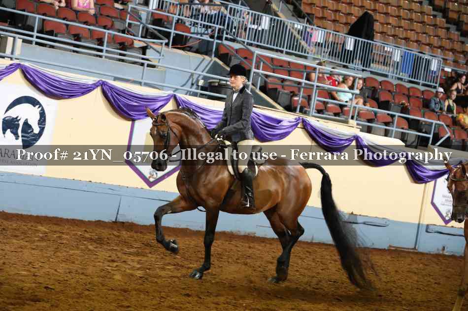 Proof 21YN_05706