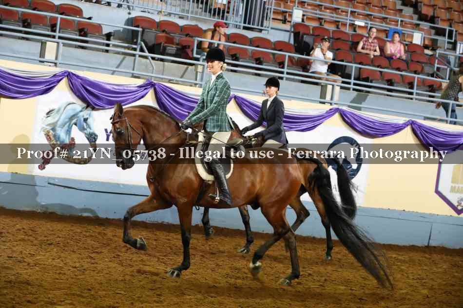Proof 21YN_05738