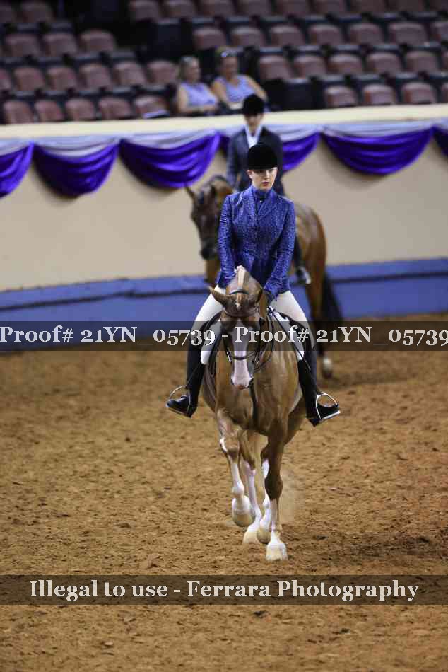 Proof 21YN_05739