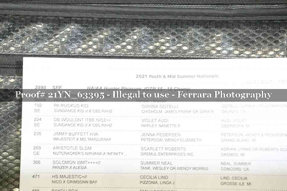 Proof 21YN_63395