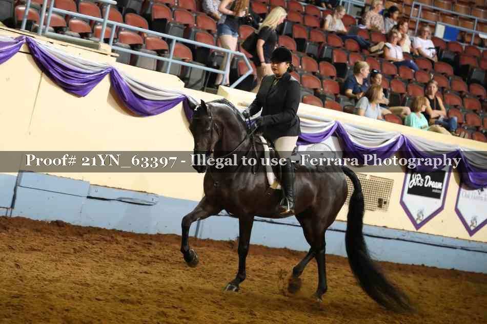 Proof 21YN_63397