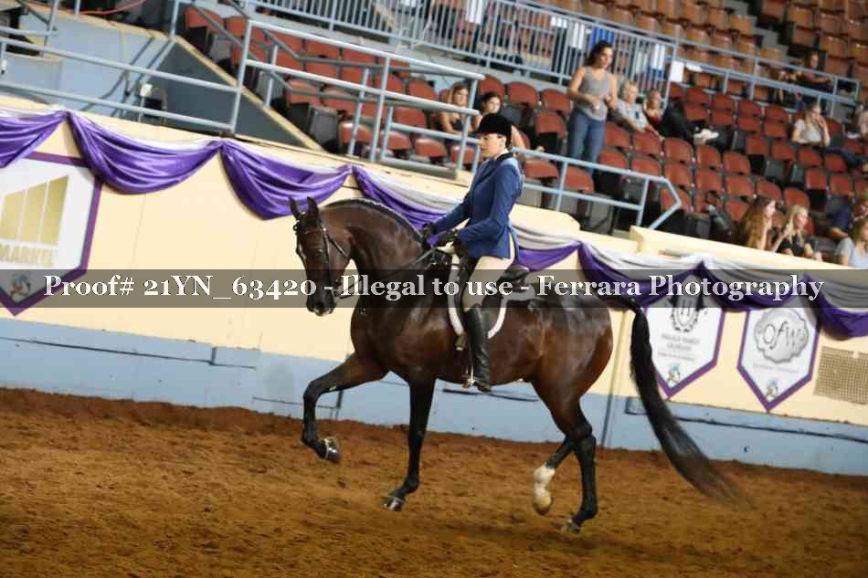 Proof 21YN_63420