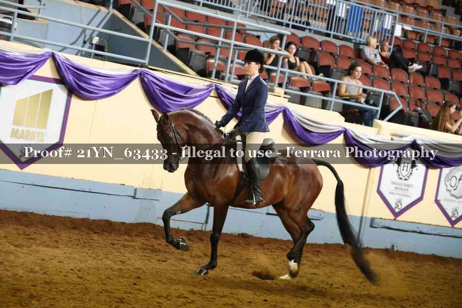 Proof 21YN_63433
