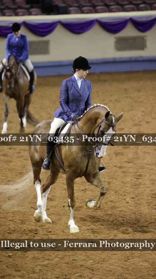 Proof 21YN_63435