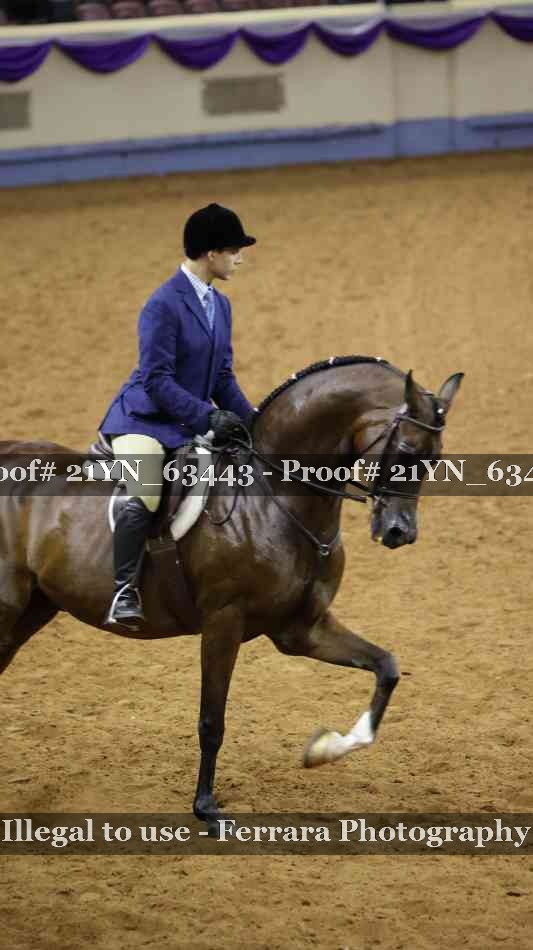 Proof 21YN_63443