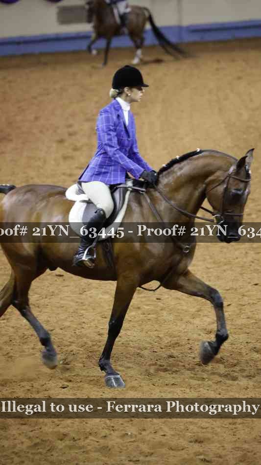 Proof 21YN_63445