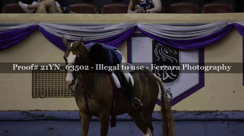 Proof 21YN_63502
