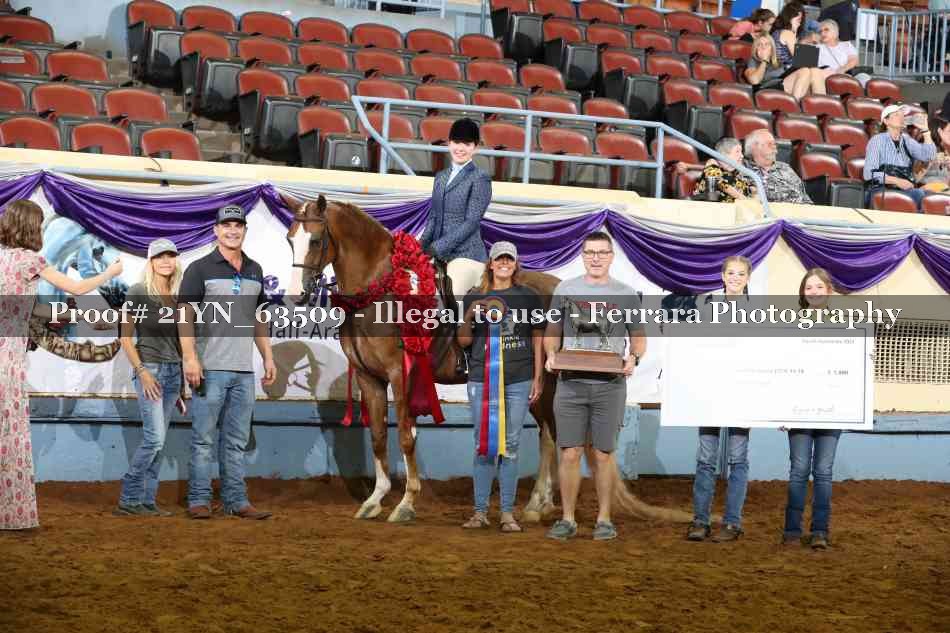 Proof 21YN_63509