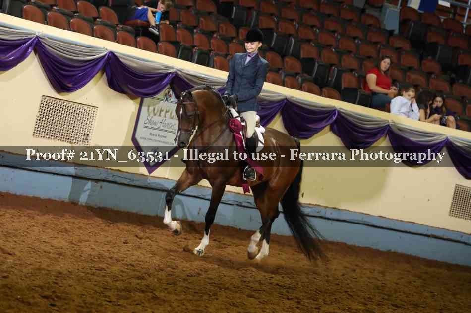 Proof 21YN_63531
