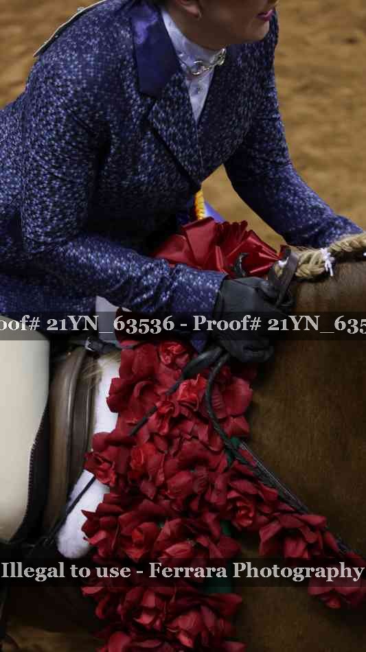 Proof 21YN_63536