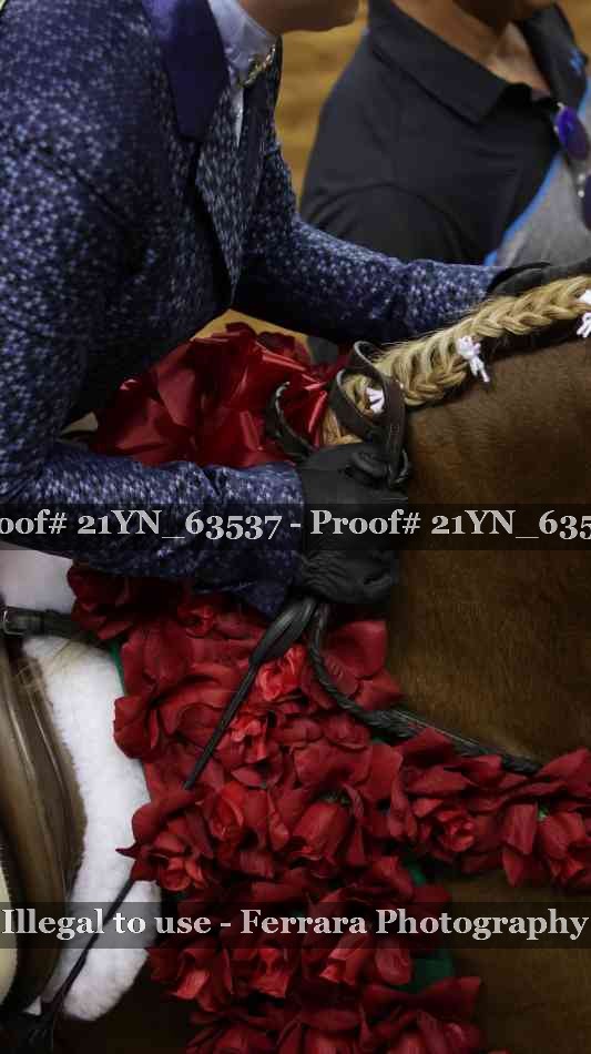 Proof 21YN_63537