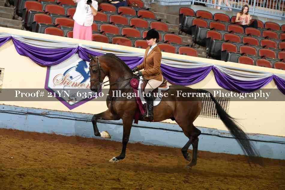 Proof 21YN_63540