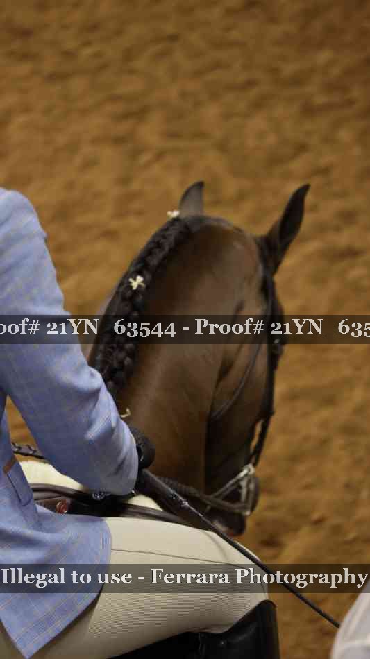 Proof 21YN_63544
