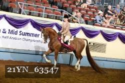 21YN_63547 proof