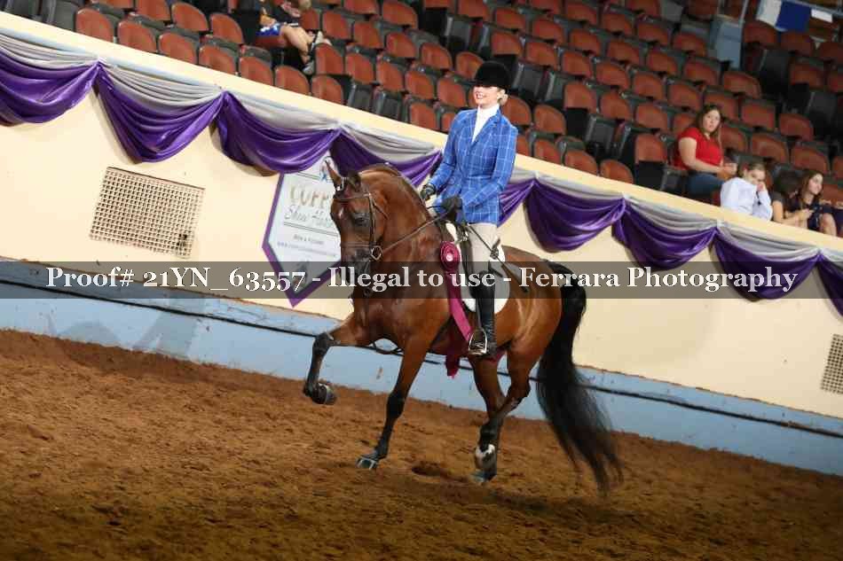 Proof 21YN_63557