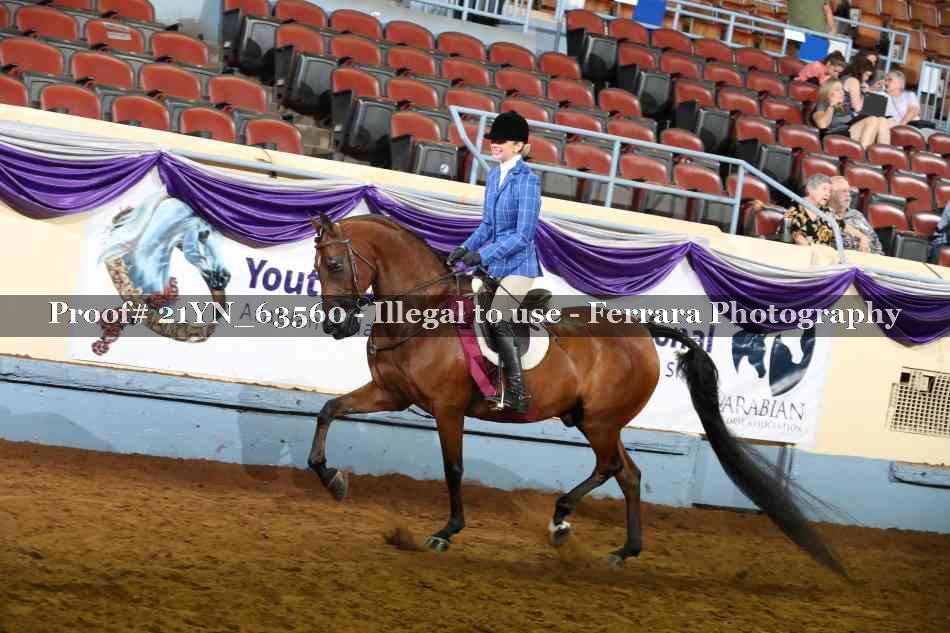 Proof 21YN_63560