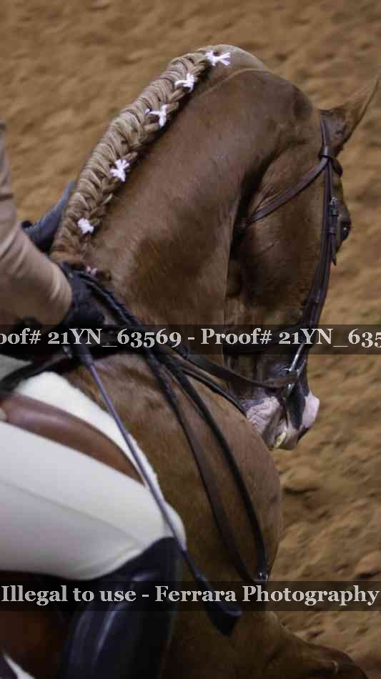 Proof 21YN_63569