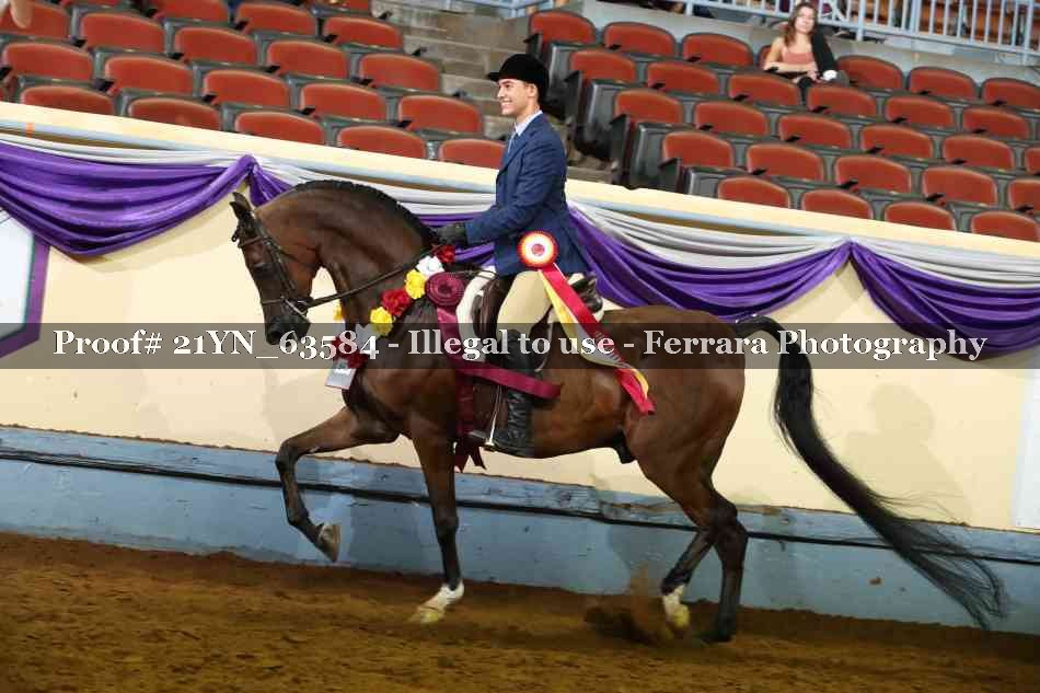 Proof 21YN_63584