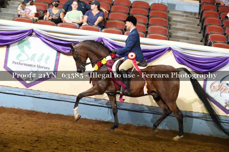 Proof 21YN_63585